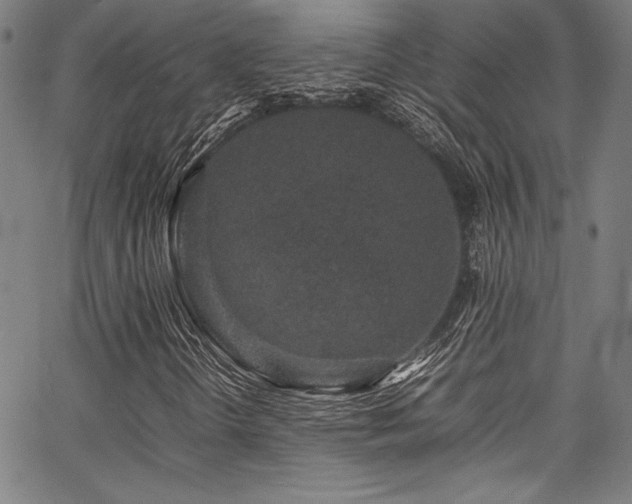 X0000067951298200604131425