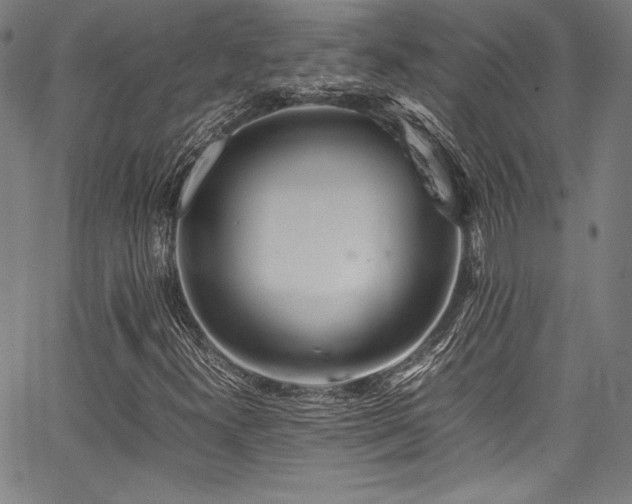 X0000067951300200604131425