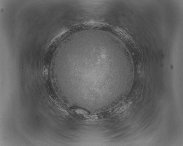 X0000067951302200604131425