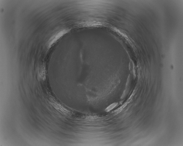 X0000067951306200604131425