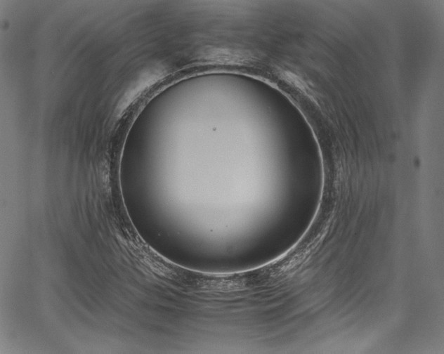 X0000067951307200604131425