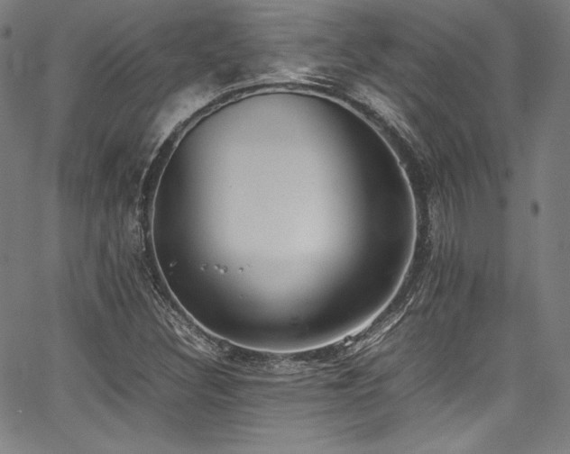 X0000067951308200604131425