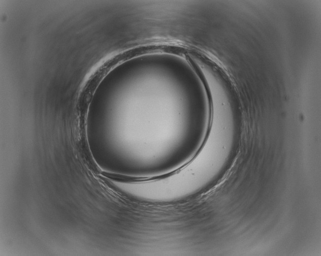 X0000067951310200604131425