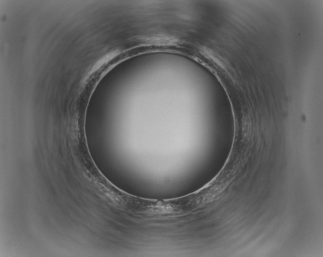 X0000067951315200604131425