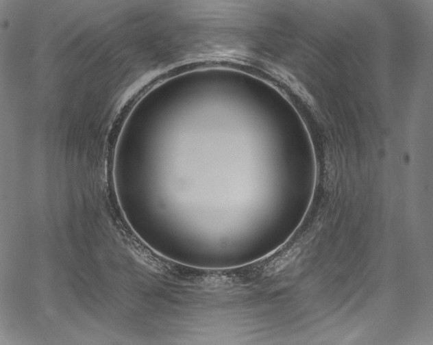 X0000067951316200604131425