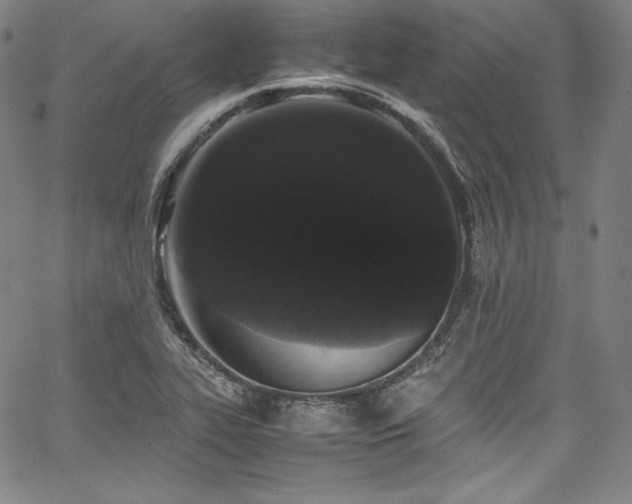 X0000067951319200604131425