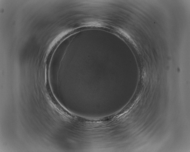 X0000067951323200604131426