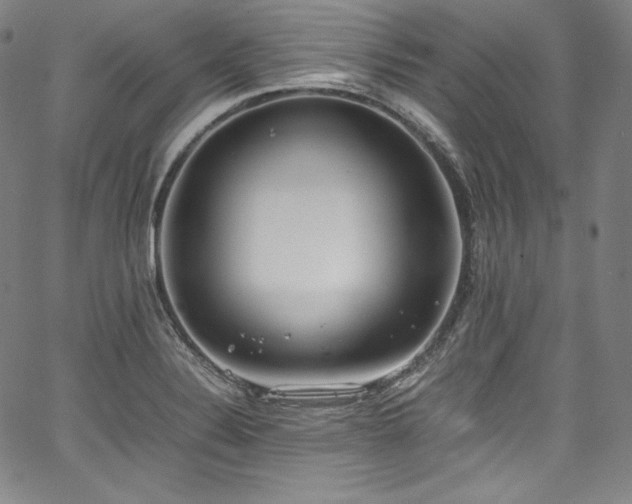 X0000067951324200604131426