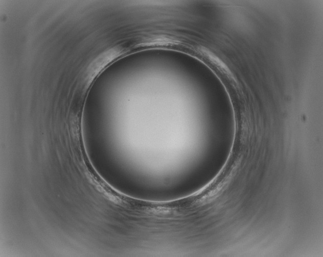 X0000067951329200604131426