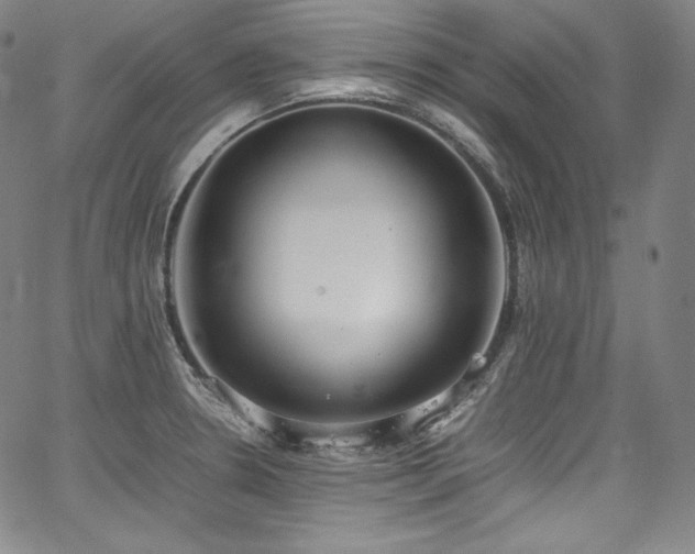 X0000067951330200604131426