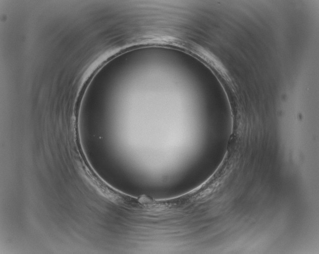 X0000067951332200604131426