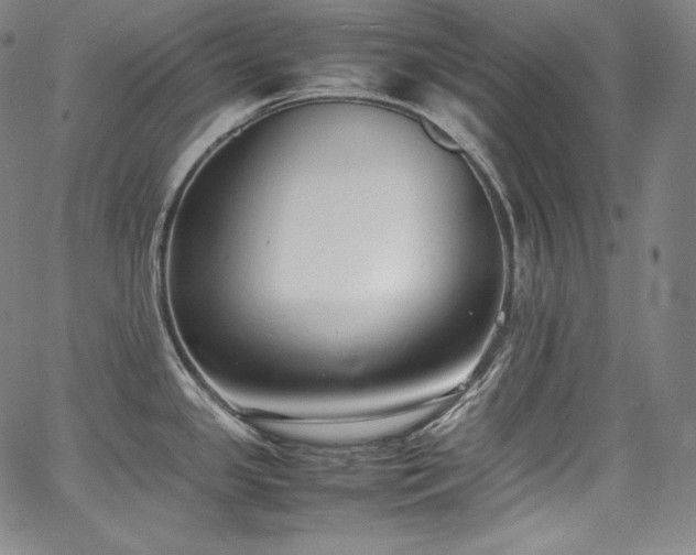 X0000067951341200604131426