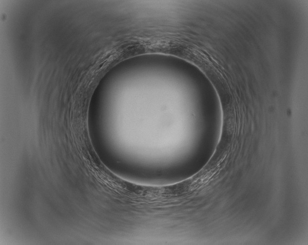 X0000067951345200604131425