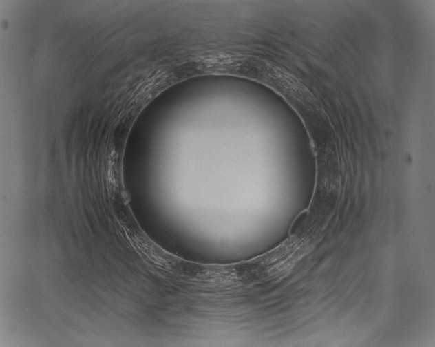 X0000067951346200604131425