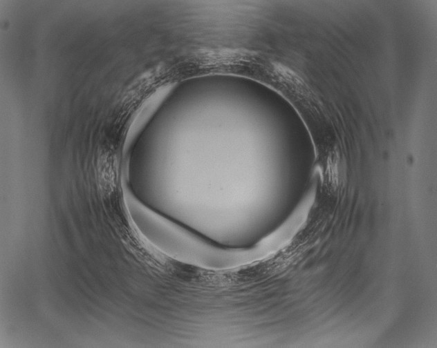 X0000067951348200604131425