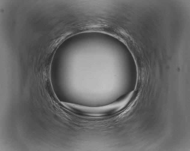 X0000067951353200604131425