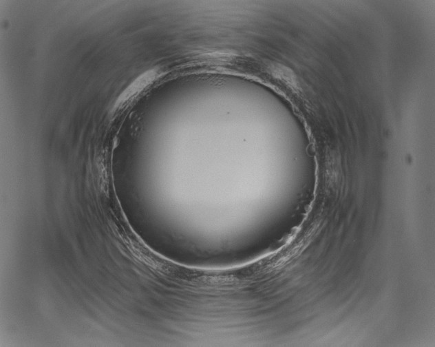 X0000067951354200604131425