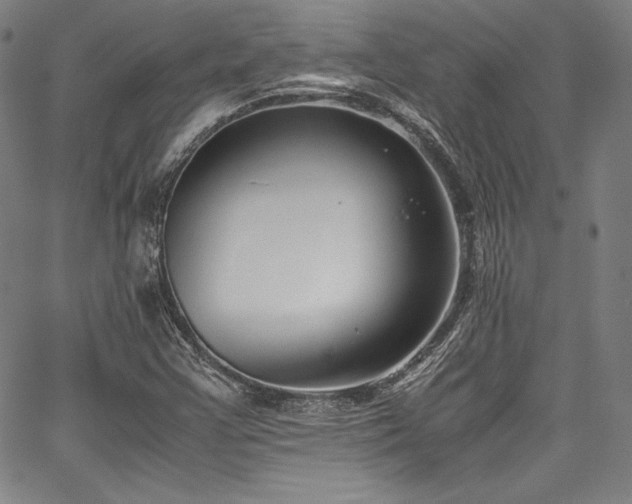 X0000067951355200604131425