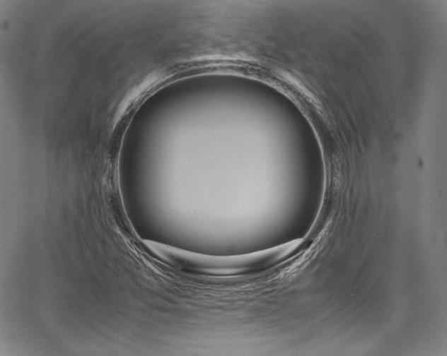 X0000067951357200604131425