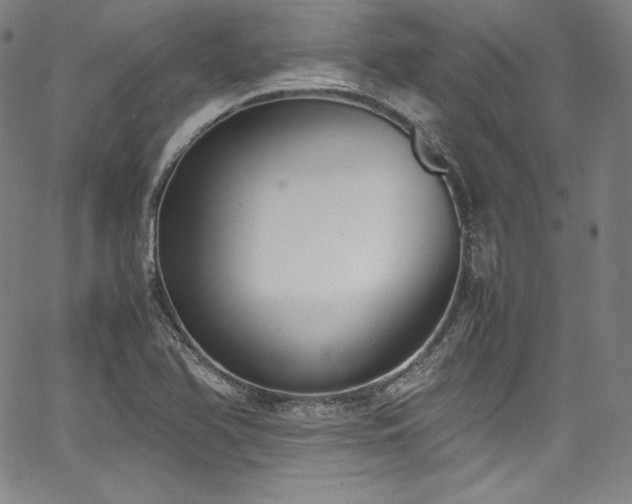 X0000067951366200604131425