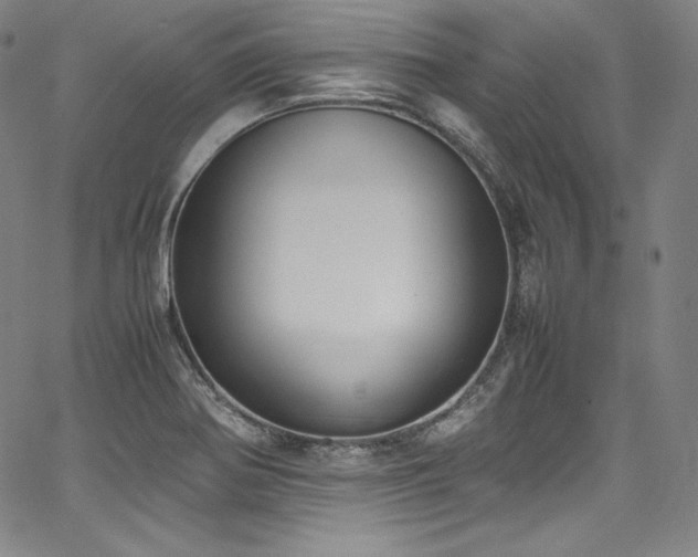 X0000067951370200604131425