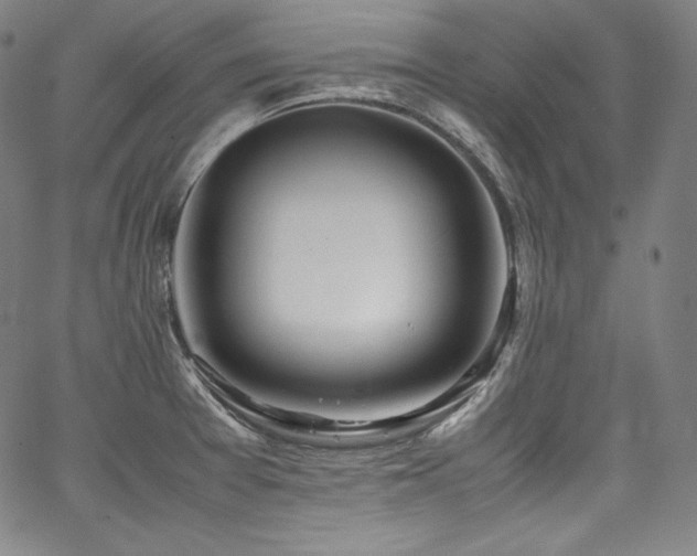 X0000067951377200604131425