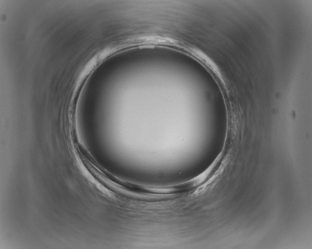 X0000067951381200604131424