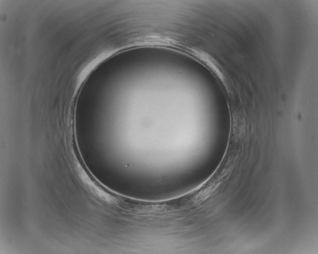 X0000067951387200604131424