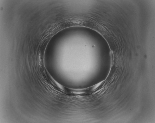 X0000067951394200604131424