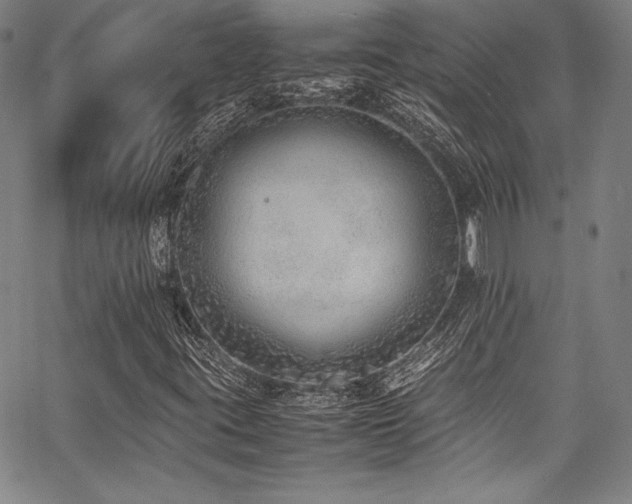 X0000067951395200604131424