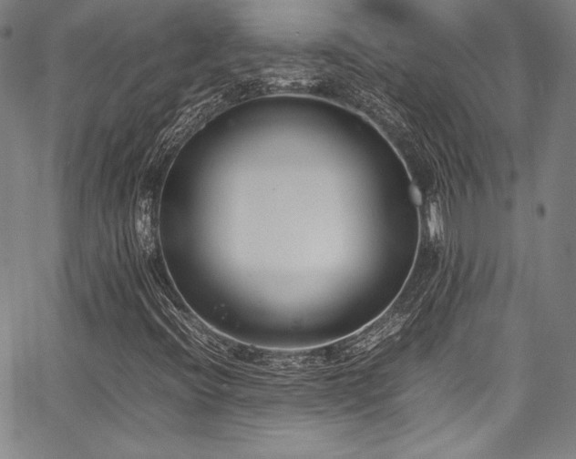 X0000067951396200604131424