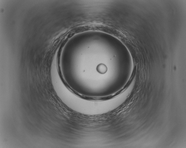 X0000067951398200604131424