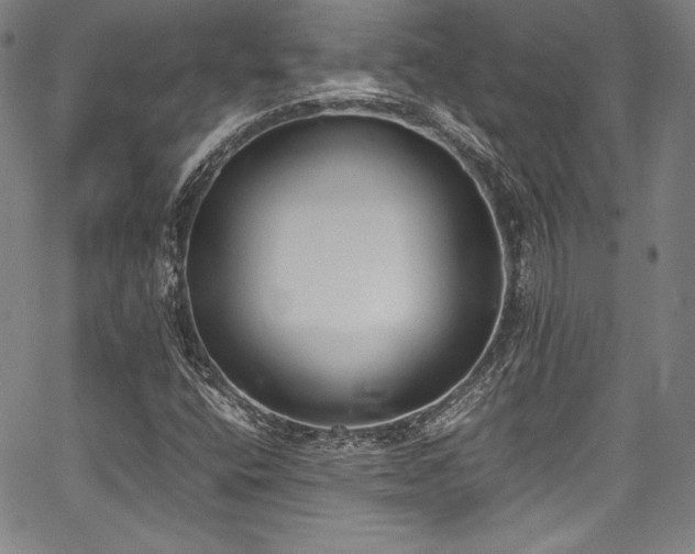 X0000067951400200604131424