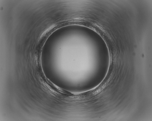 X0000067951402200604131424