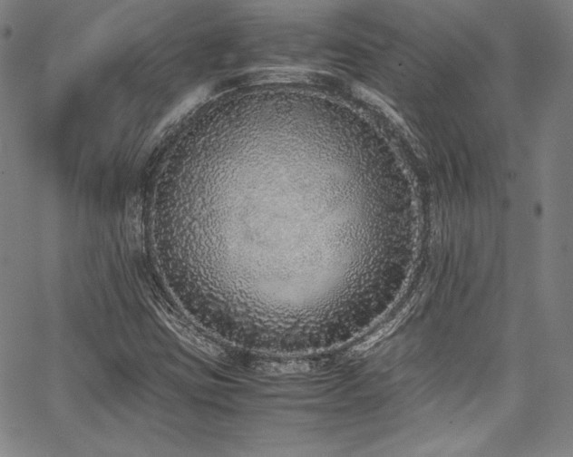 X0000067951403200604131424