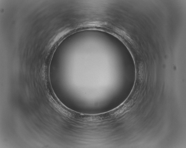 X0000067951404200604131424