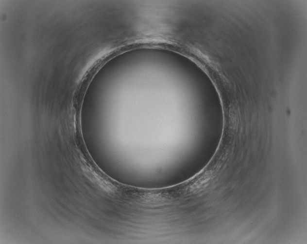 X0000067951408200604131424