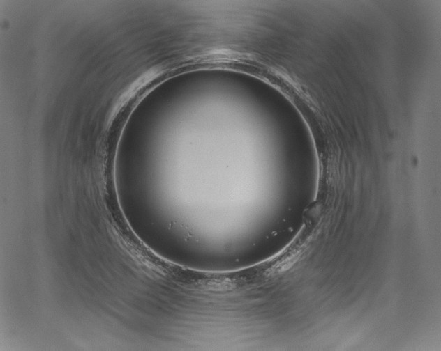 X0000067951410200604131424