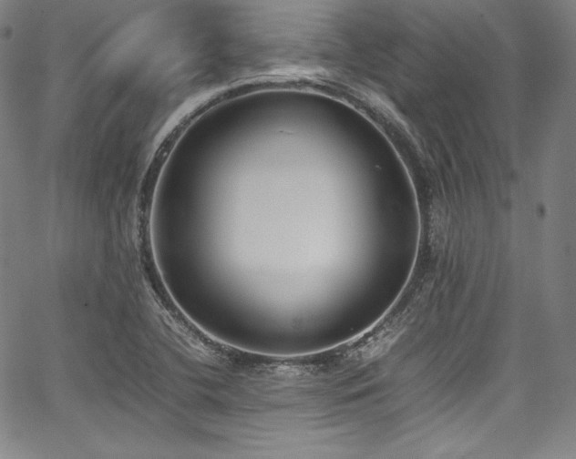 X0000067951412200604131424