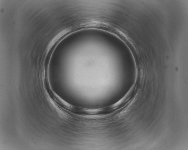 X0000067951418200604131424