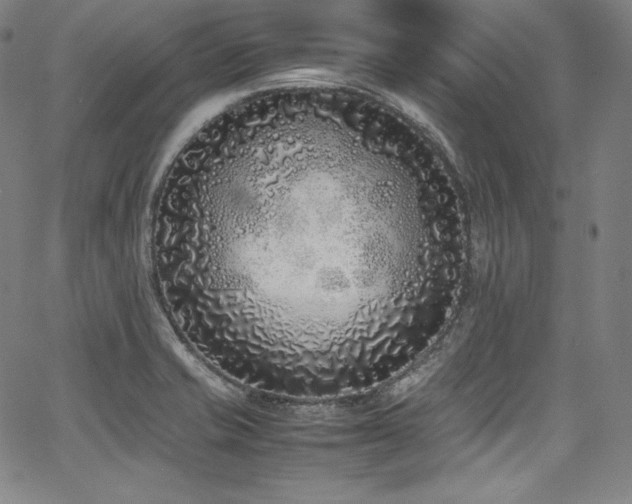 X0000067951421200604131424