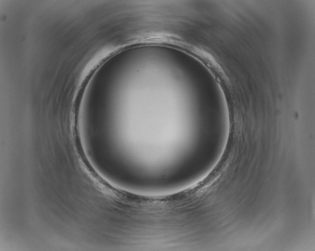 X0000067951424200604131424