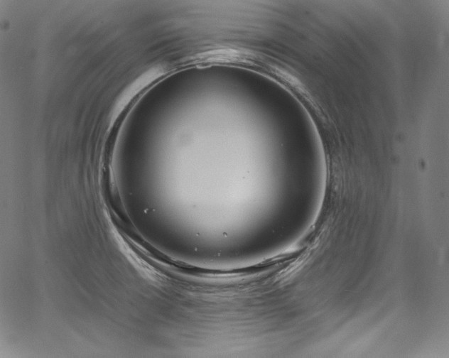 X0000067951426200604131424