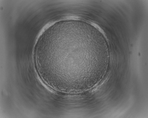 X0000067951429200604131424