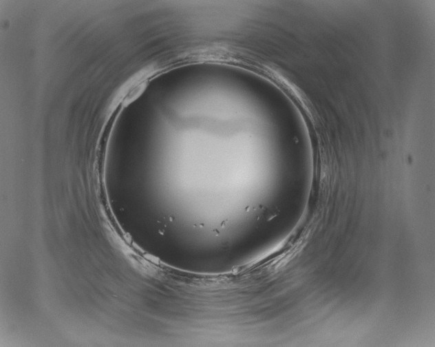 X0000067951434200604131424