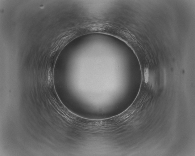 X0000067951444200604131423