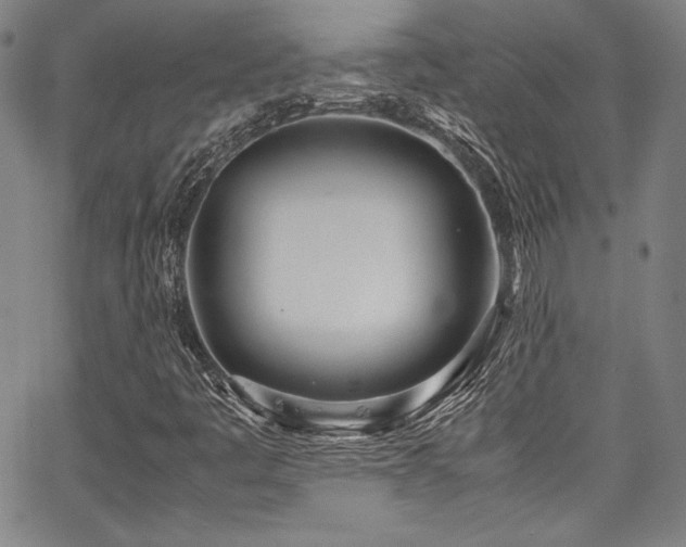 X0000067951445200604131423