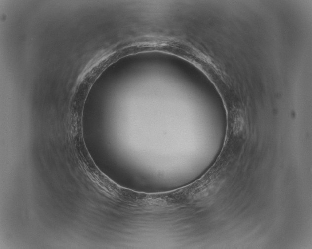 X0000067951448200604131423