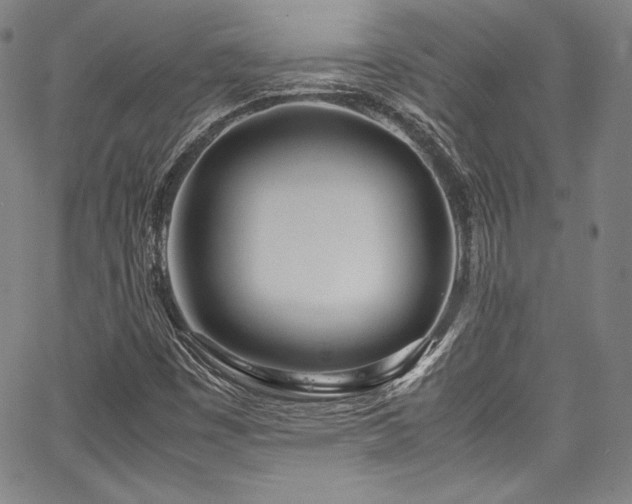 X0000067951449200604131423