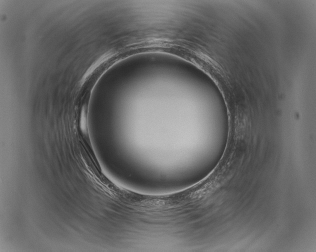 X0000067951450200604131423
